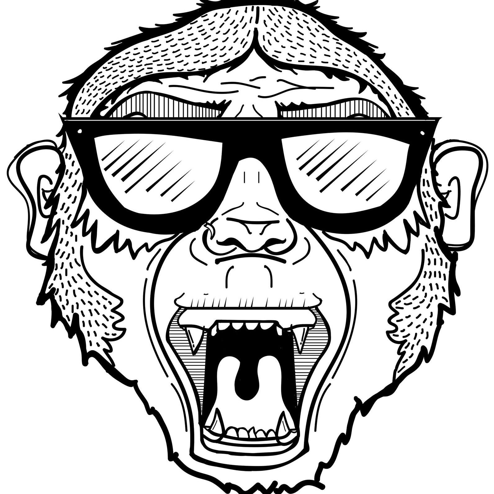 Promotional photograph of Ace.