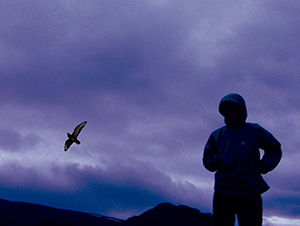 Promotional photograph of Ametsub.