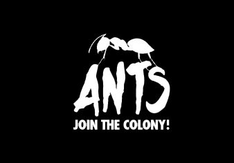 Fotografía promocional de Concierto de Ants (Ibiza) en Ibiza