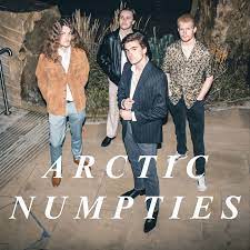 Promofoto von Concierto de Arctic Numpties en Chester.