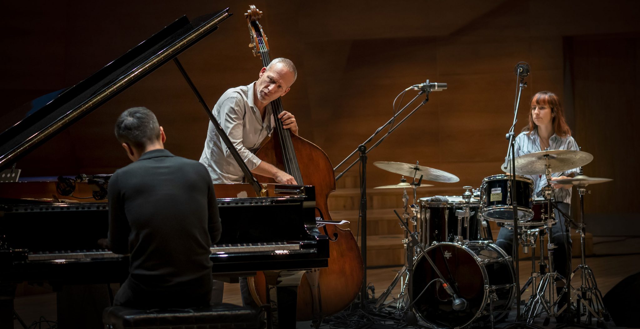 Fotografía promocional de Concierto de Avishai Cohen Trio en Clermont-Ferrand