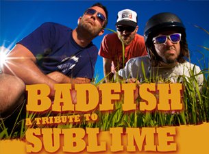 Badfish: A Tribute to Sublime concert in Phoenix