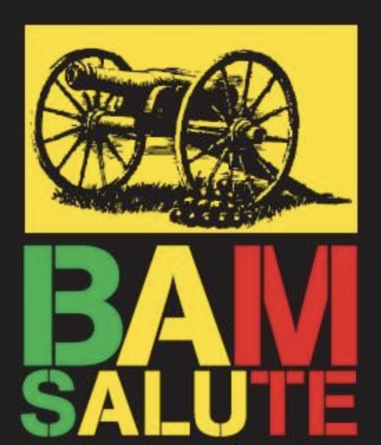 Fotografía promocional de Bam Salute