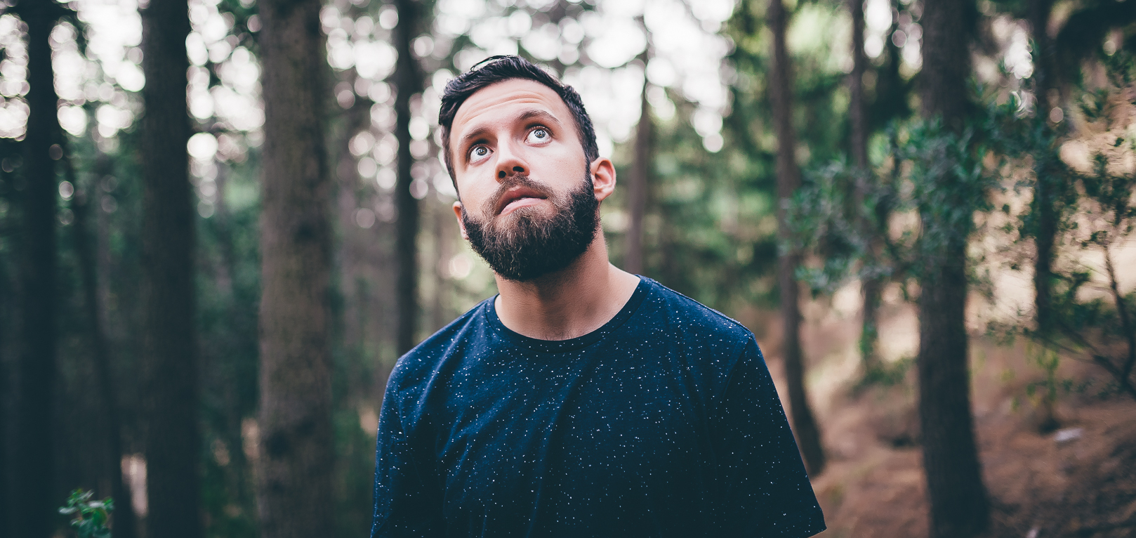 Promotional photograph of Bearoid.