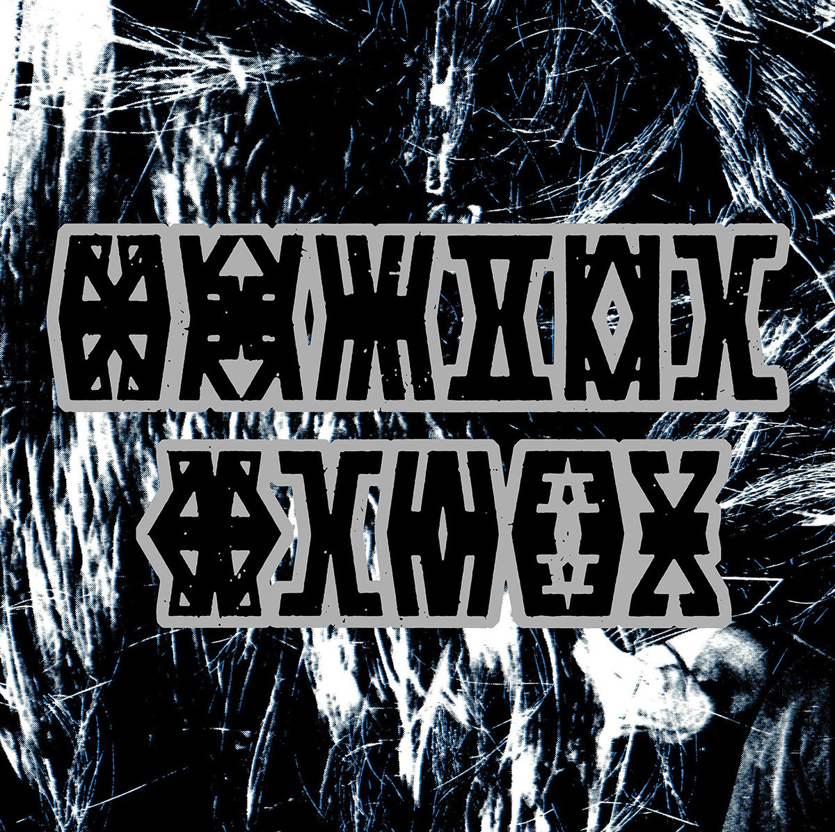 Promotional photograph of Brutal Blues.