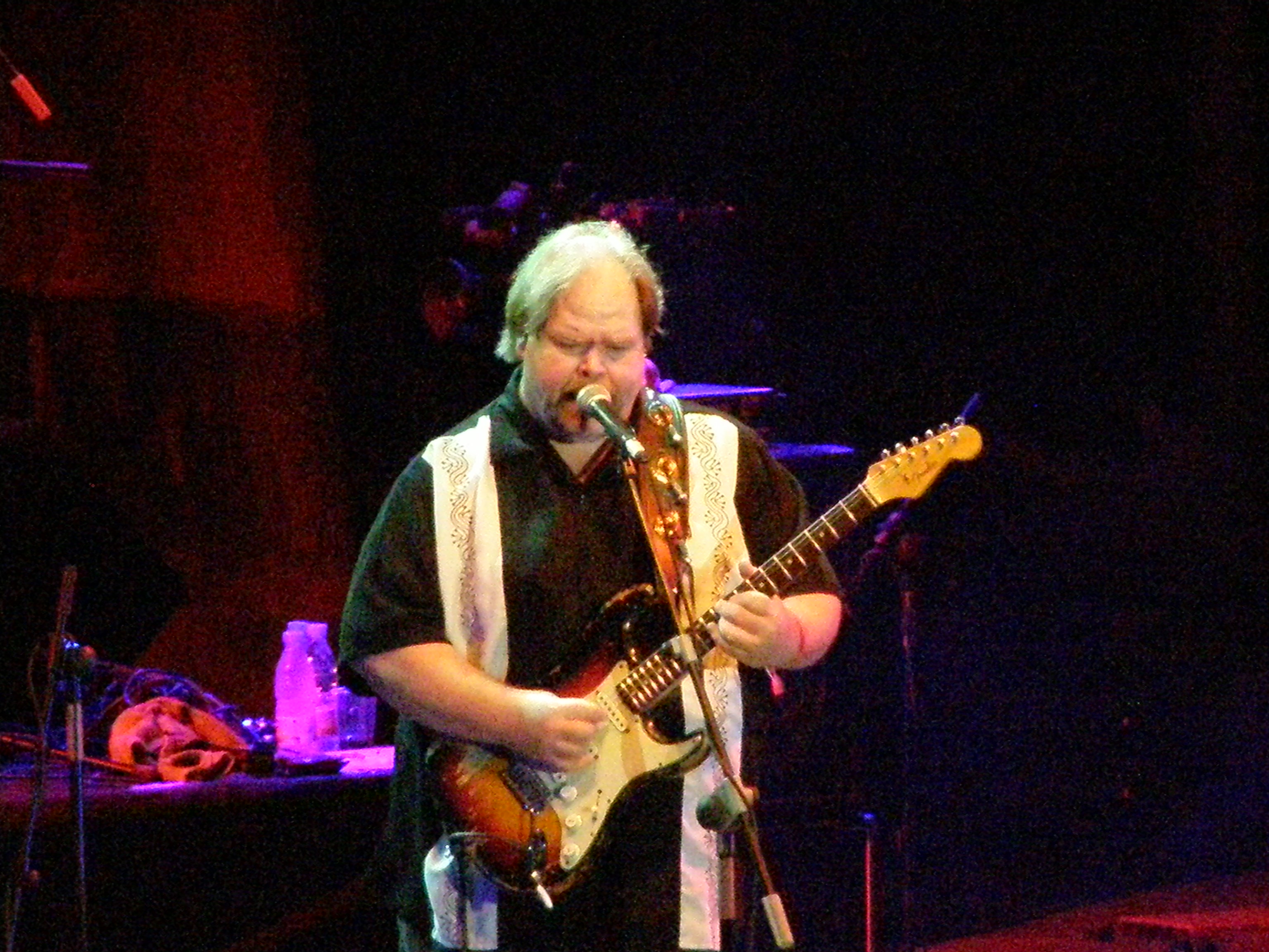 Promotional photograph of Buddy Whittington.