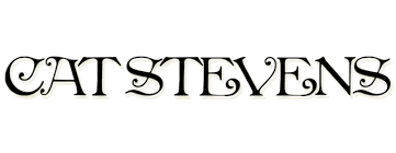 Promofoto von Concierto de Cat Stevens Tribute en Berlín.