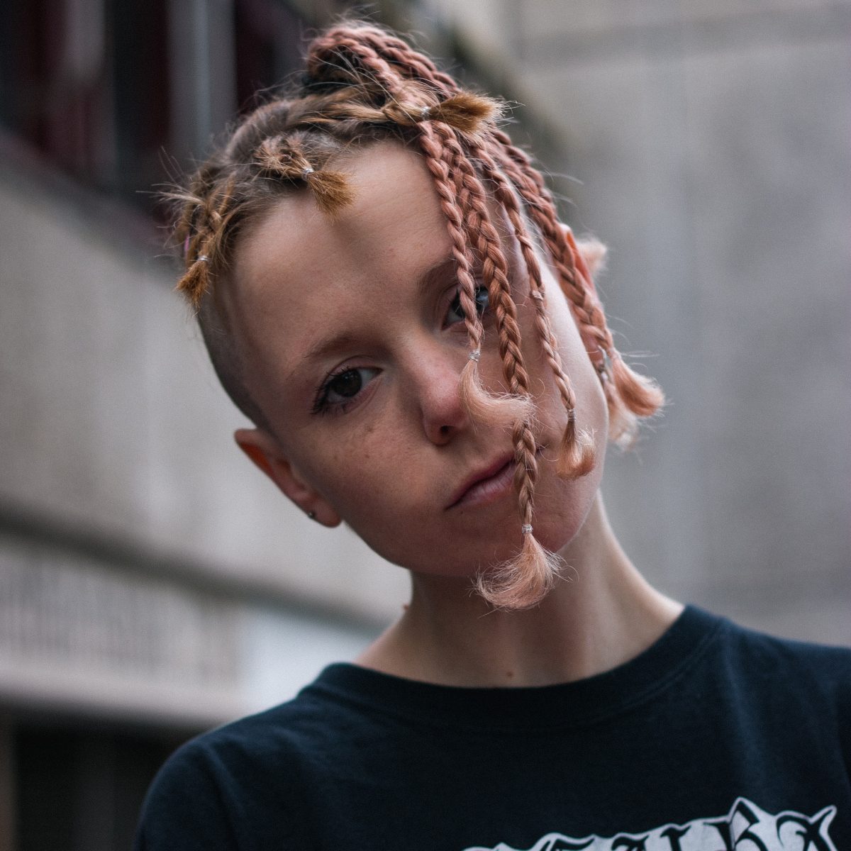 Promofoto von Concierto de Catnapp en Hannover.