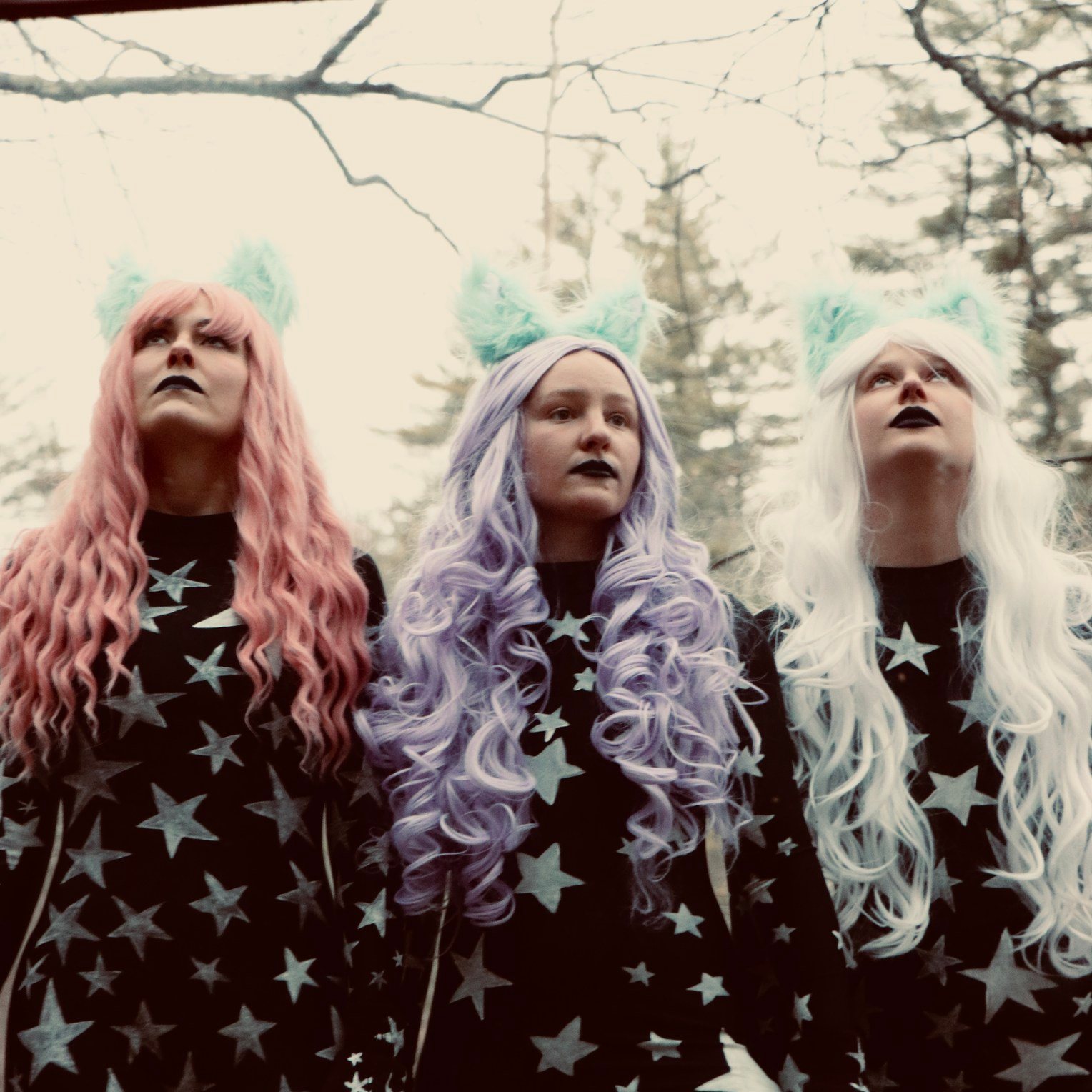 Tickets for CatWolf in Nashville | Wegow