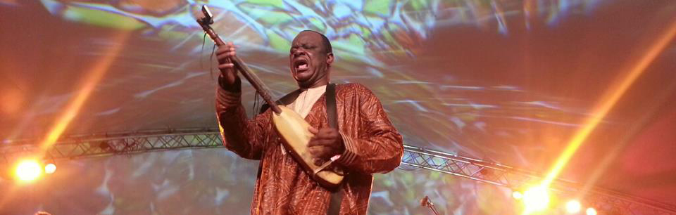 Fotografía promocional de Concierto de Cheick Hamala Diabate en Washington