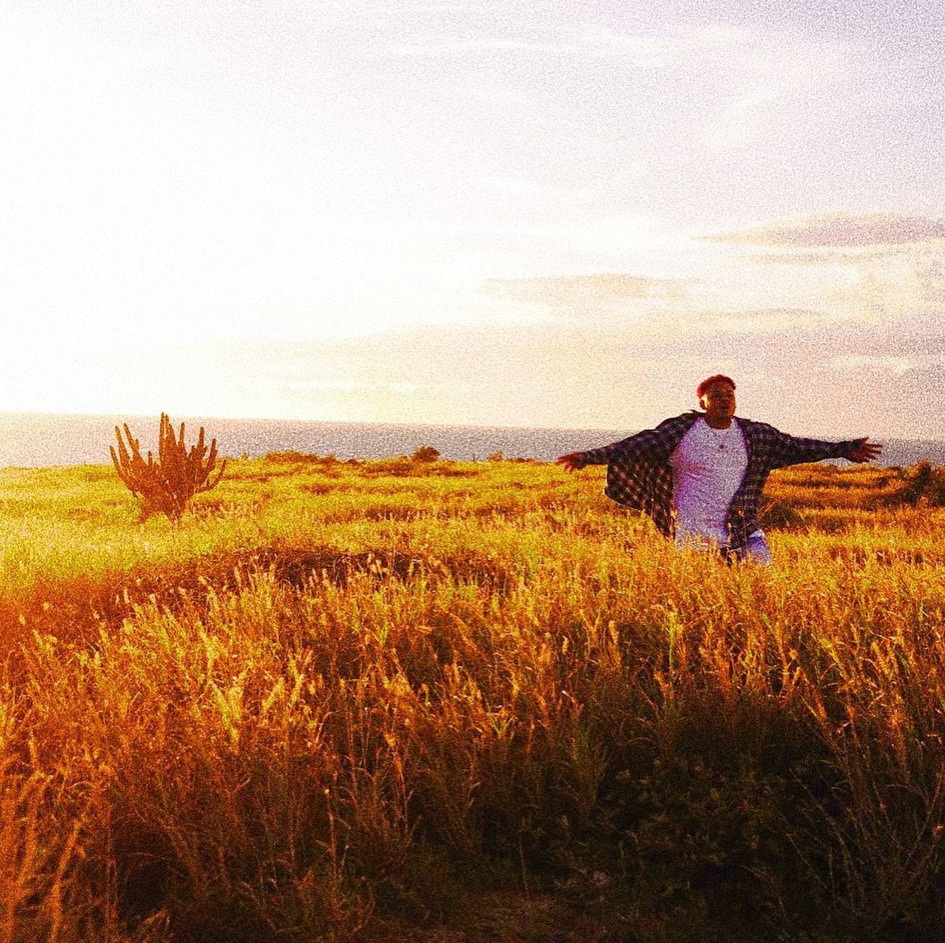 Fotografia promocional de damnboy!.