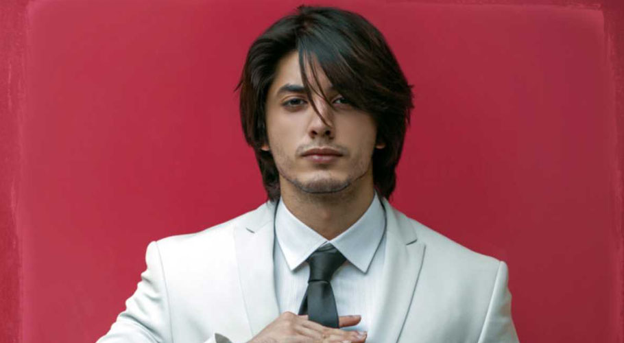 Promofoto von Concierto de Ali Zafar en Adelaida.