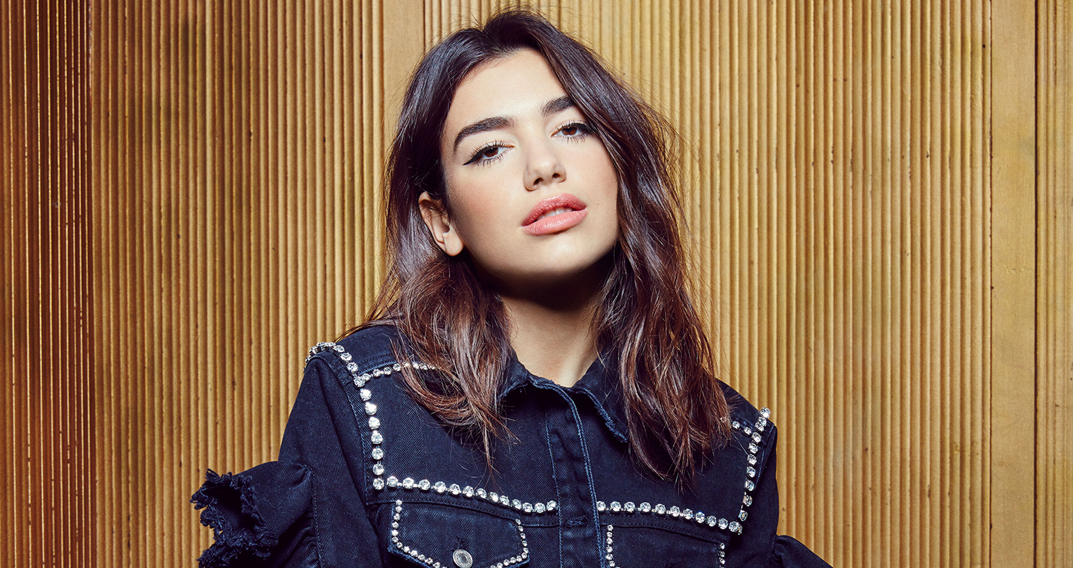 Fotografia promocional de Concierto de Dua Lipa en New York.