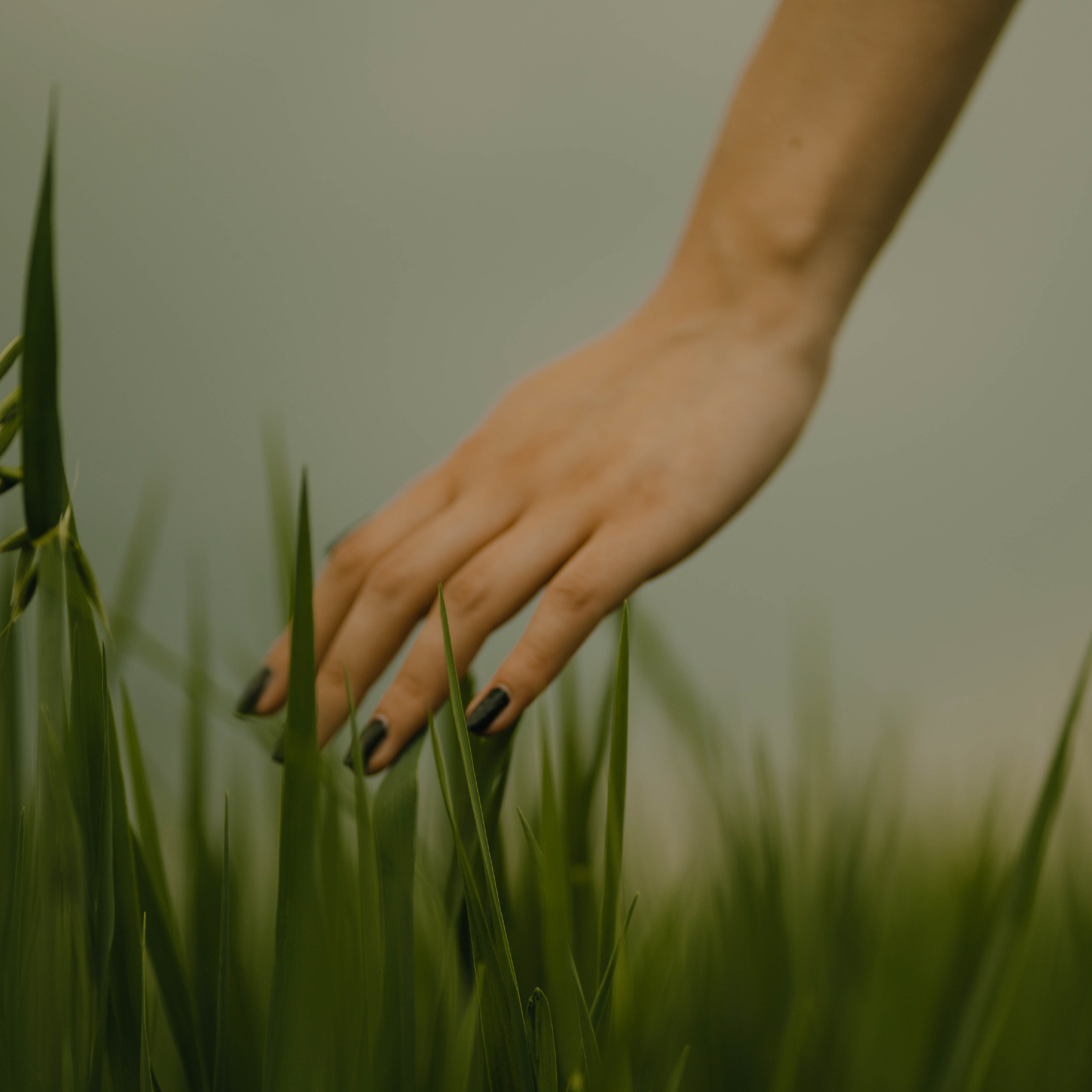 Fotografía promocional de Efimero