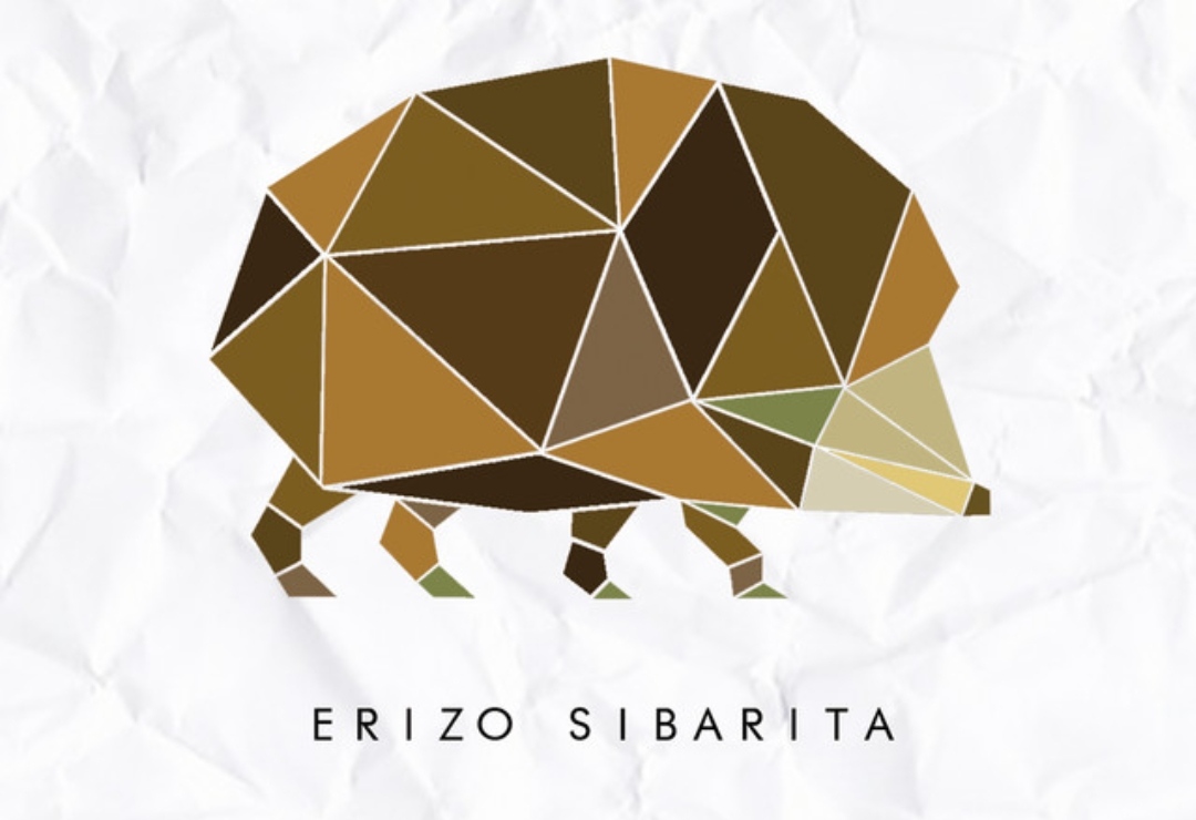 Fotografía promocional de Erizo Sibarita