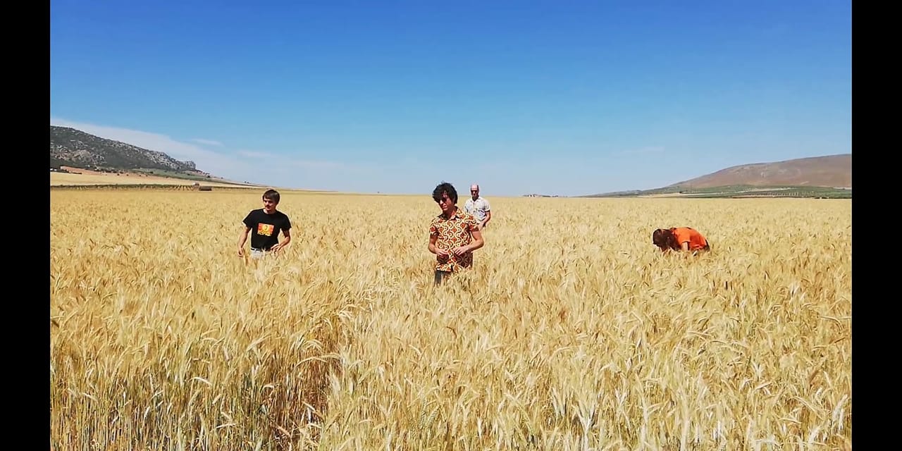 Fotografía promocional de Finale