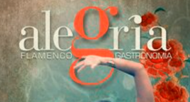 Fotografía promocional de Concierto de Flamenco en Málaga en Málaga