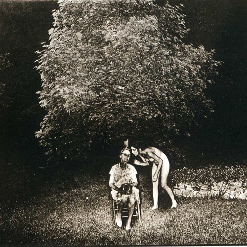 Promotional photograph of Forest Drive West.