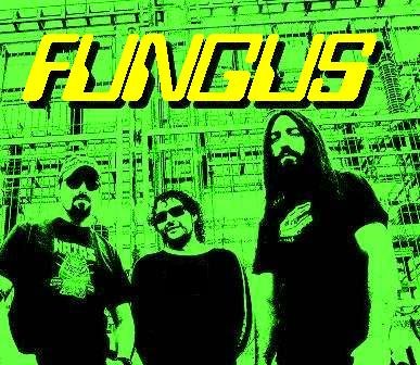 Promofoto von Fungus.