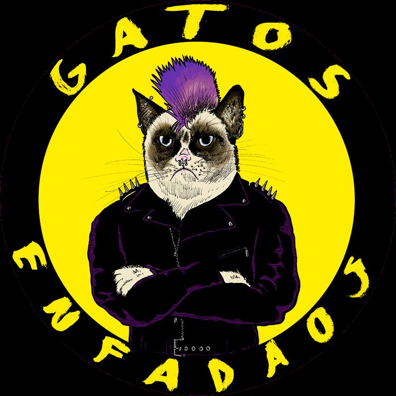 Fotografía promocional de Gatos Enfadaos