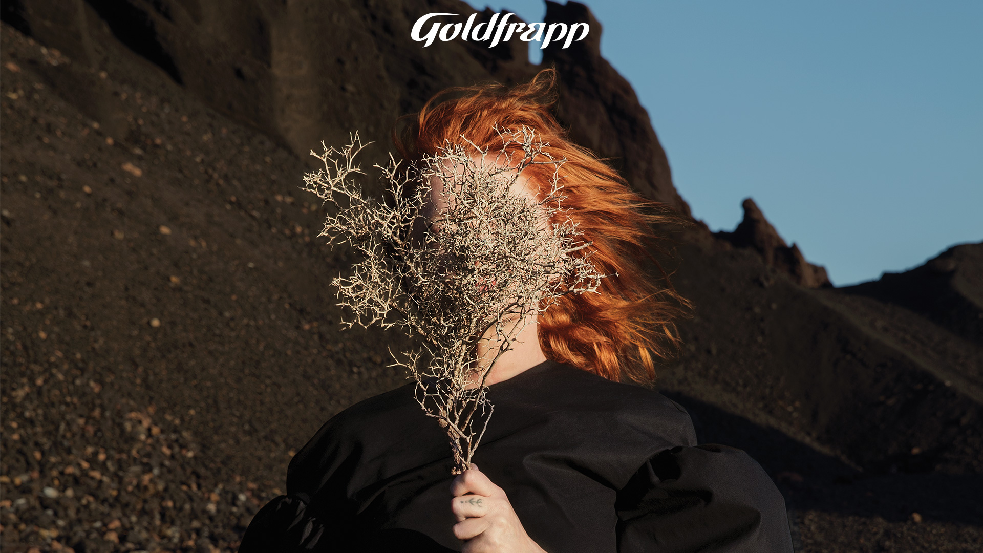 Promotional photograph of Goldfrapp.