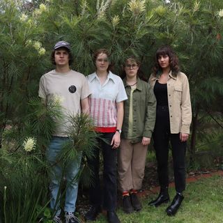 Fotografia promocional de Grevillea Hedge.
