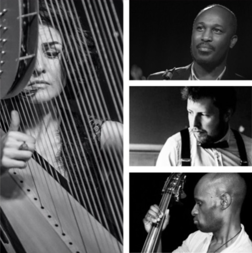 Fotografía promocional de Hipharpcollective