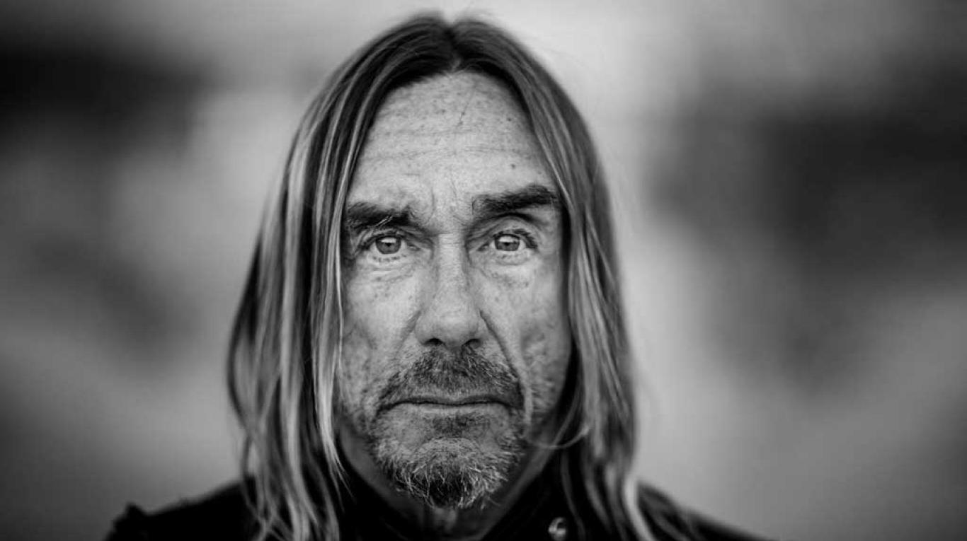 Fotografía promocional de Concierto de Iggy Pop en Dublin