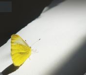 Fotografía promocional de James Dixon