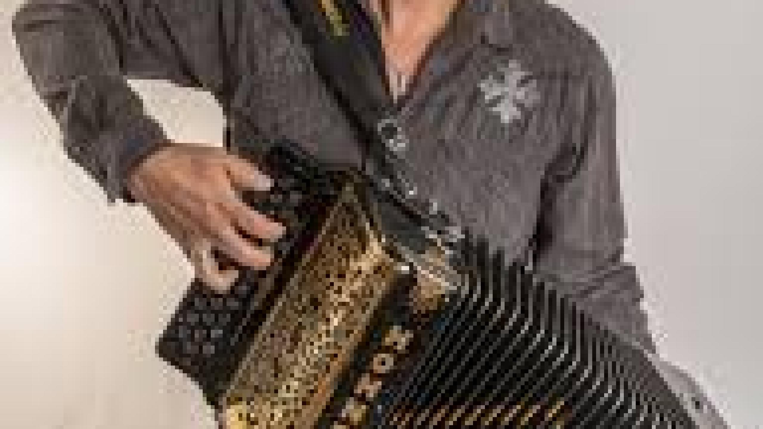 Joel Guzman Biglietti Concerti e Tour 2023 2024 Wegow