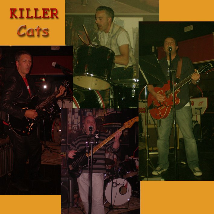 Fotografia promocional de Killer Cats.