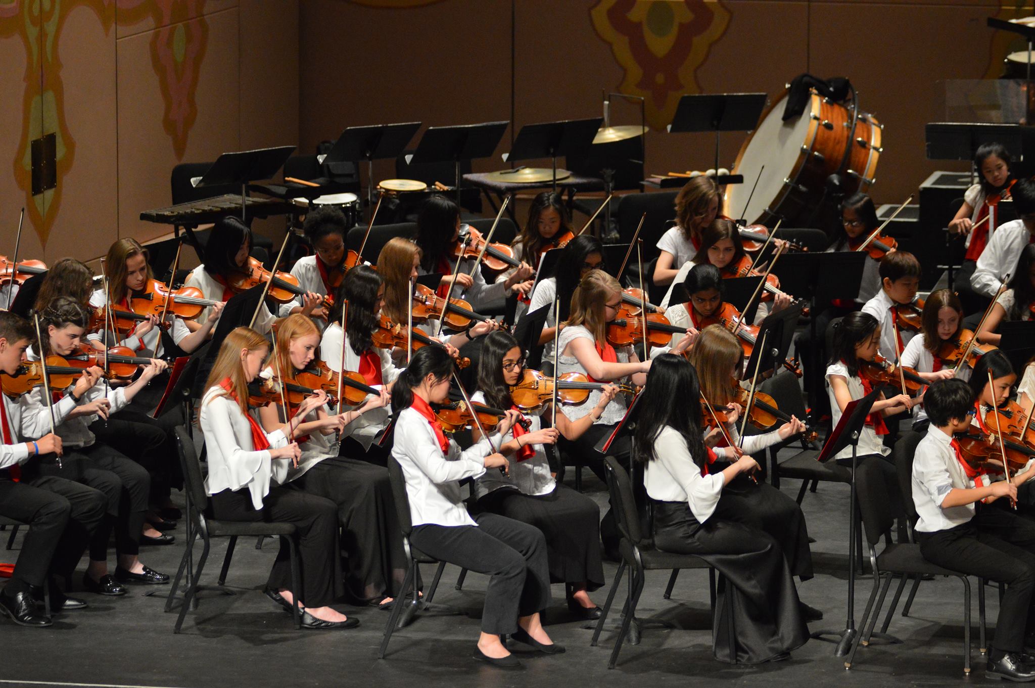 Fotografia promocional de Knoxville Symphony Youth Orchestra.