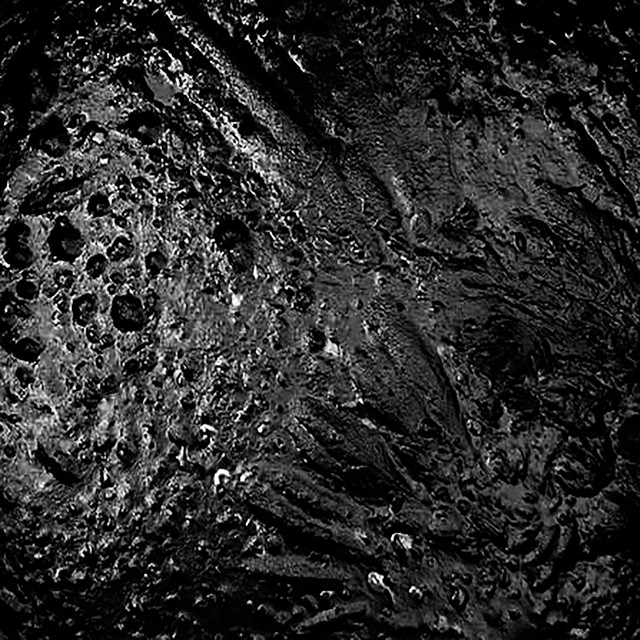 Fotografia promocional de Korroded.