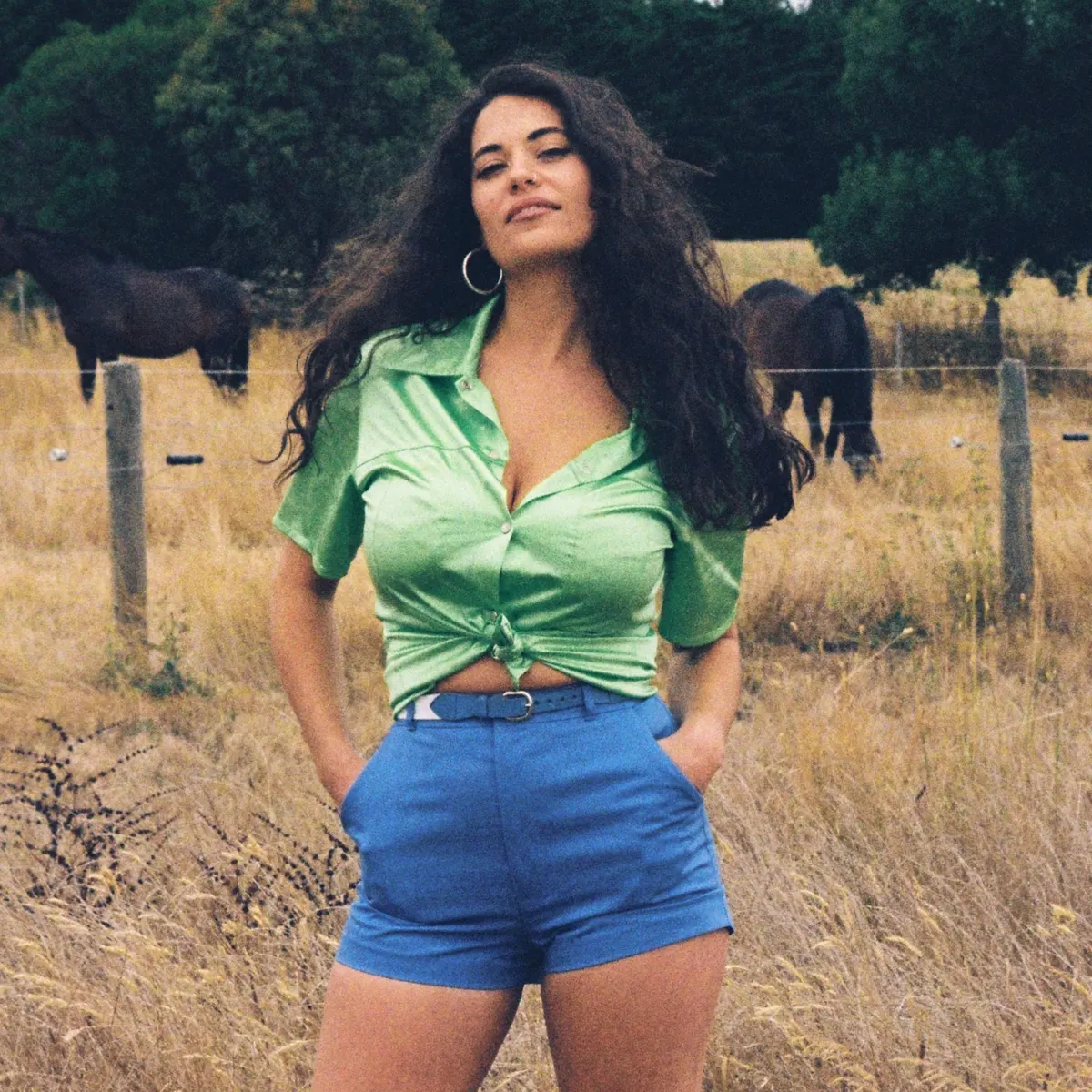 Fotografía promocional de Maple Glider