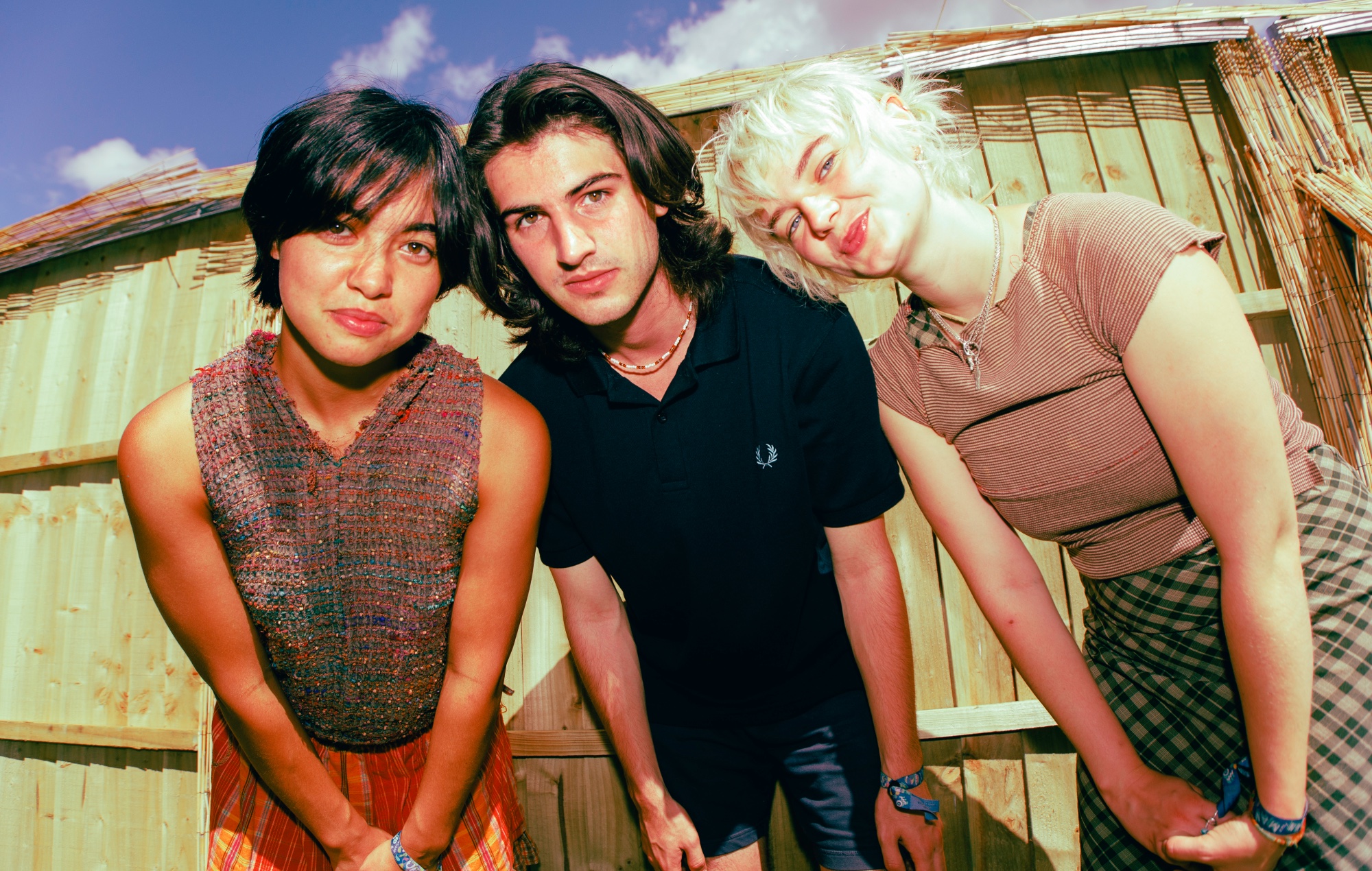 Fotografía promocional de Mary In the Junkyard