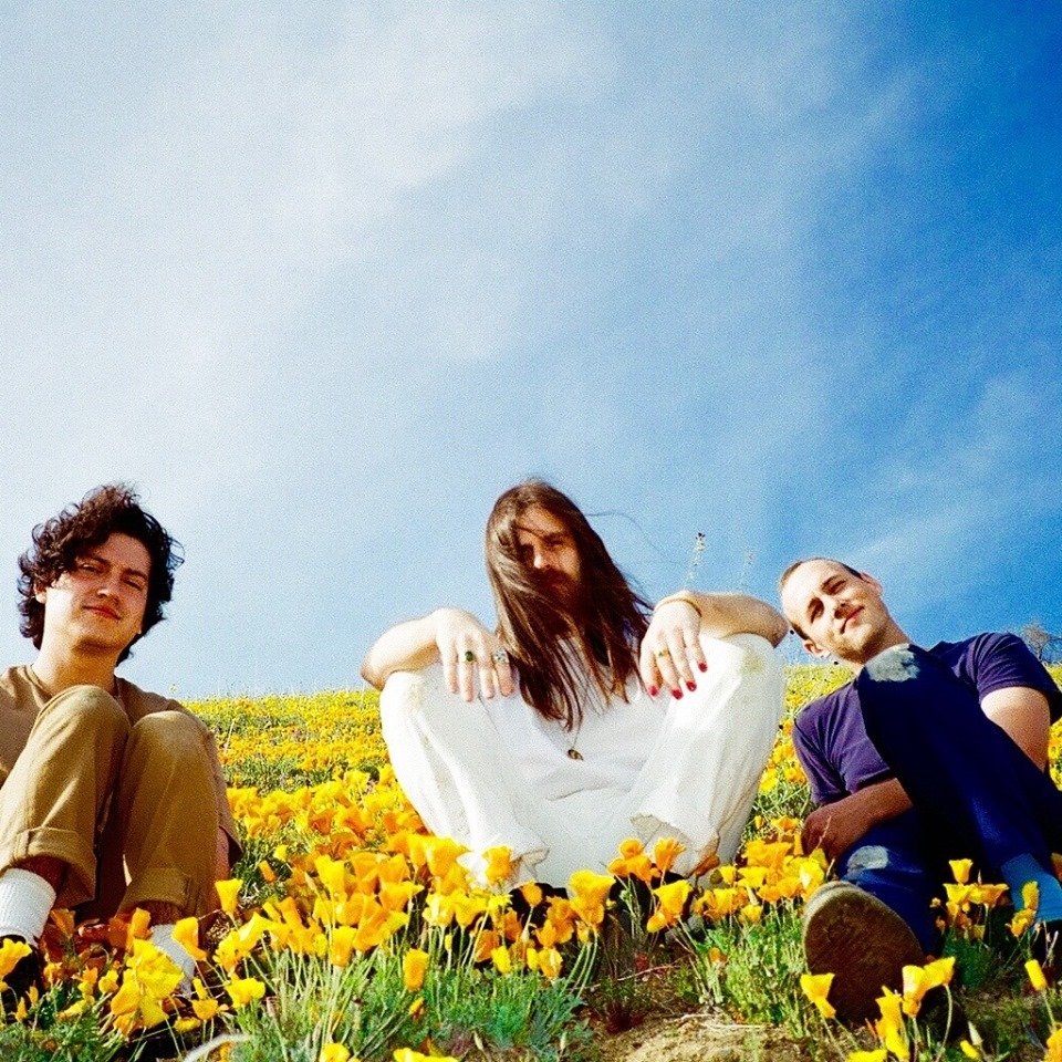 Fotografía promocional de Meatbodies