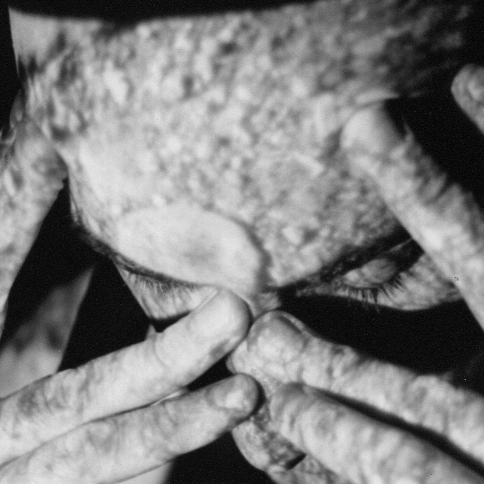 Fotografía promocional de Mike Parker