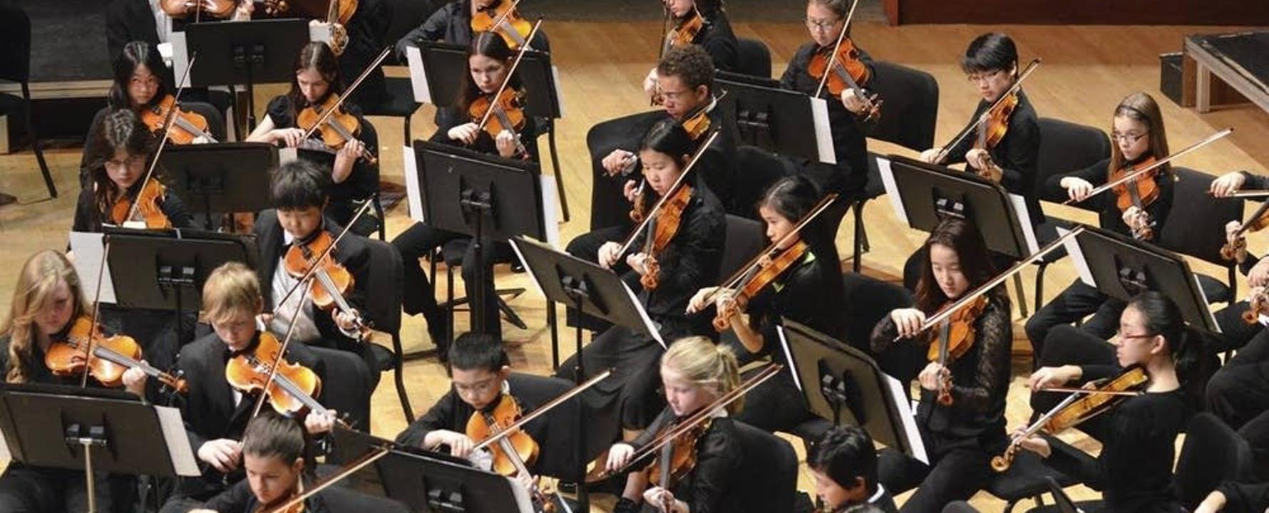 Minnesota Youth Symphonies Entradas Conciertos y Giras 2025 Wegow