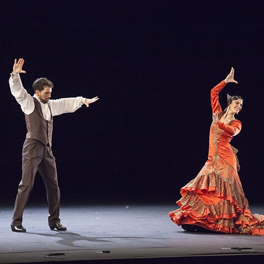 Promotional photograph of Concierto de Música Flamenca en Sevilla.