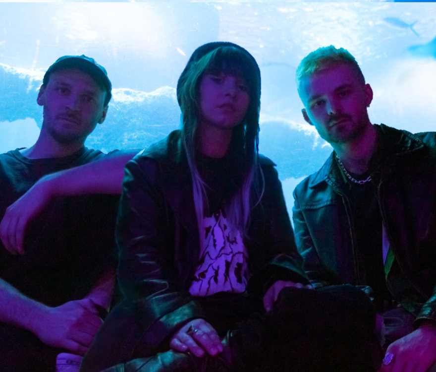 Fotografía promocional de Concierto de Night Tapes en París