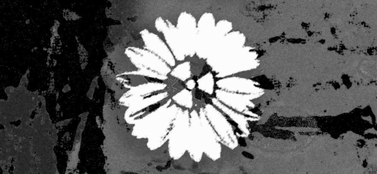 Fotografia promocional de Nuclear Daisies.