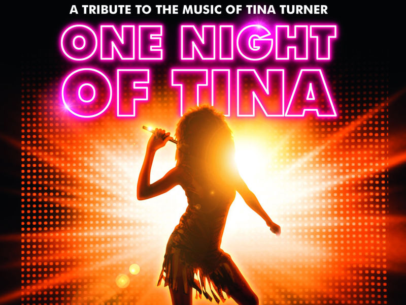 Fotografía promocional de Concierto de One Night Of Tina – A Tribute To The Music Of Tina Turner en Viena