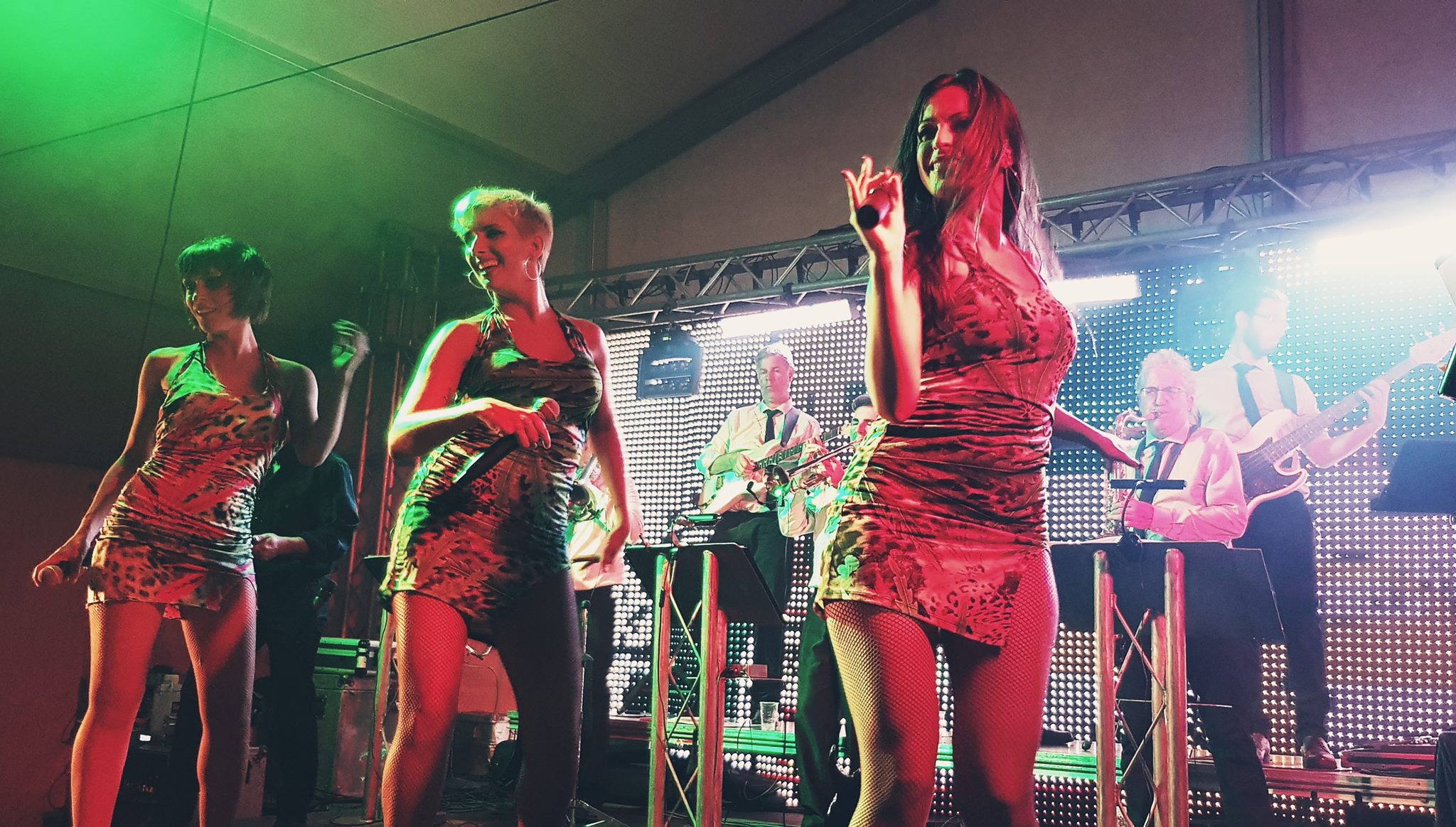 Fotografía promocional de Orquesta Venus