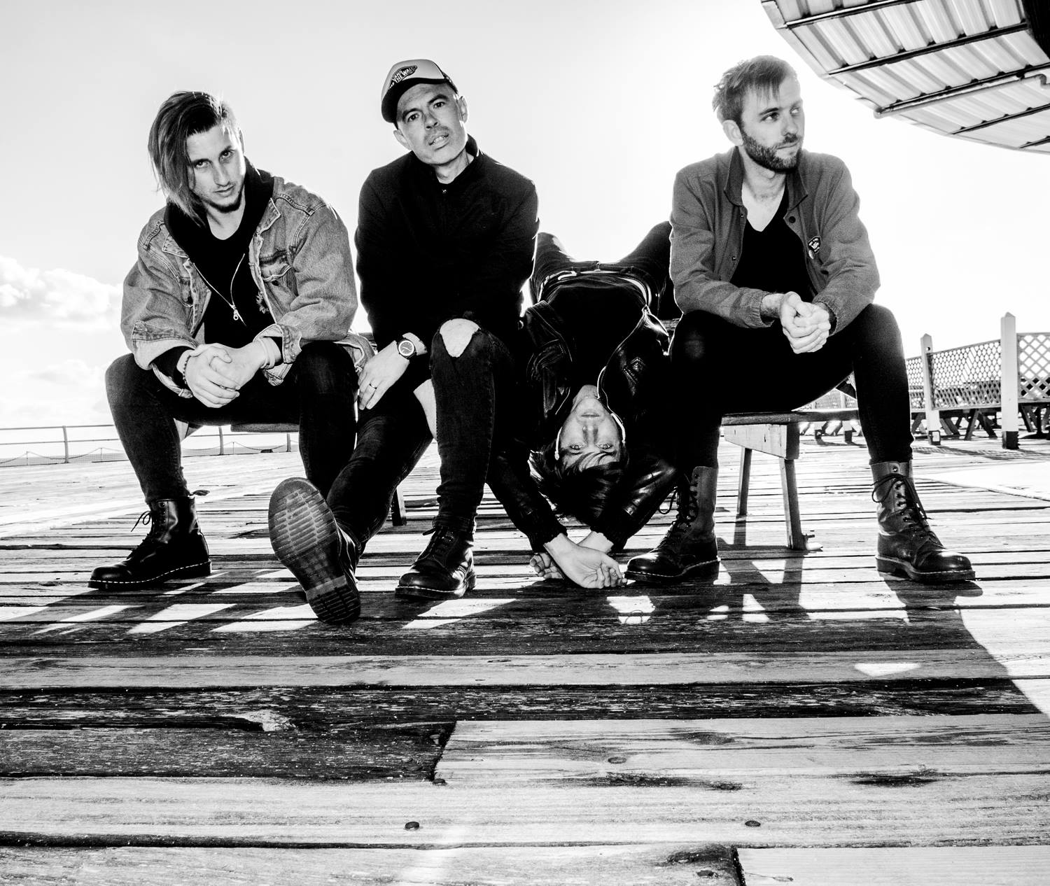 Fotografía promocional de Pet Needs