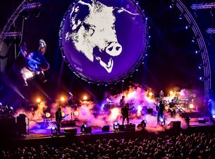 Fotografía promocional de Concierto de Pink Project en Bergen op Zoom