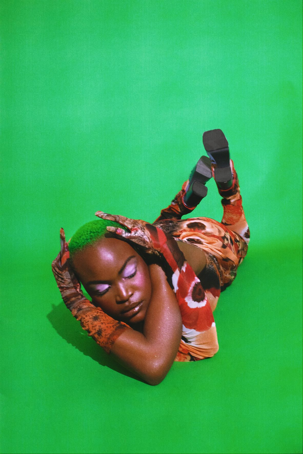 Fotografía promocional de Pongo