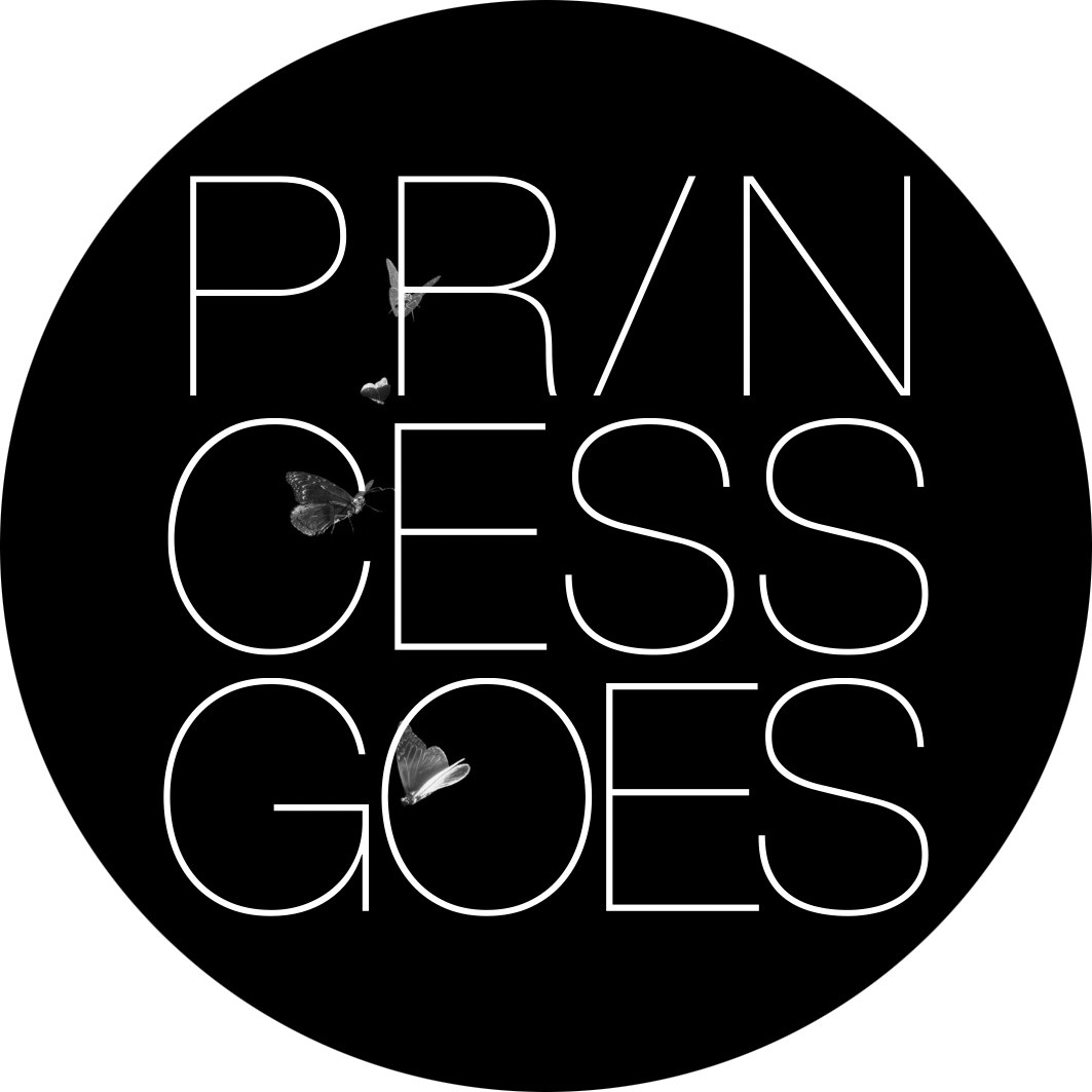 Promotional photograph of Princess Goes.