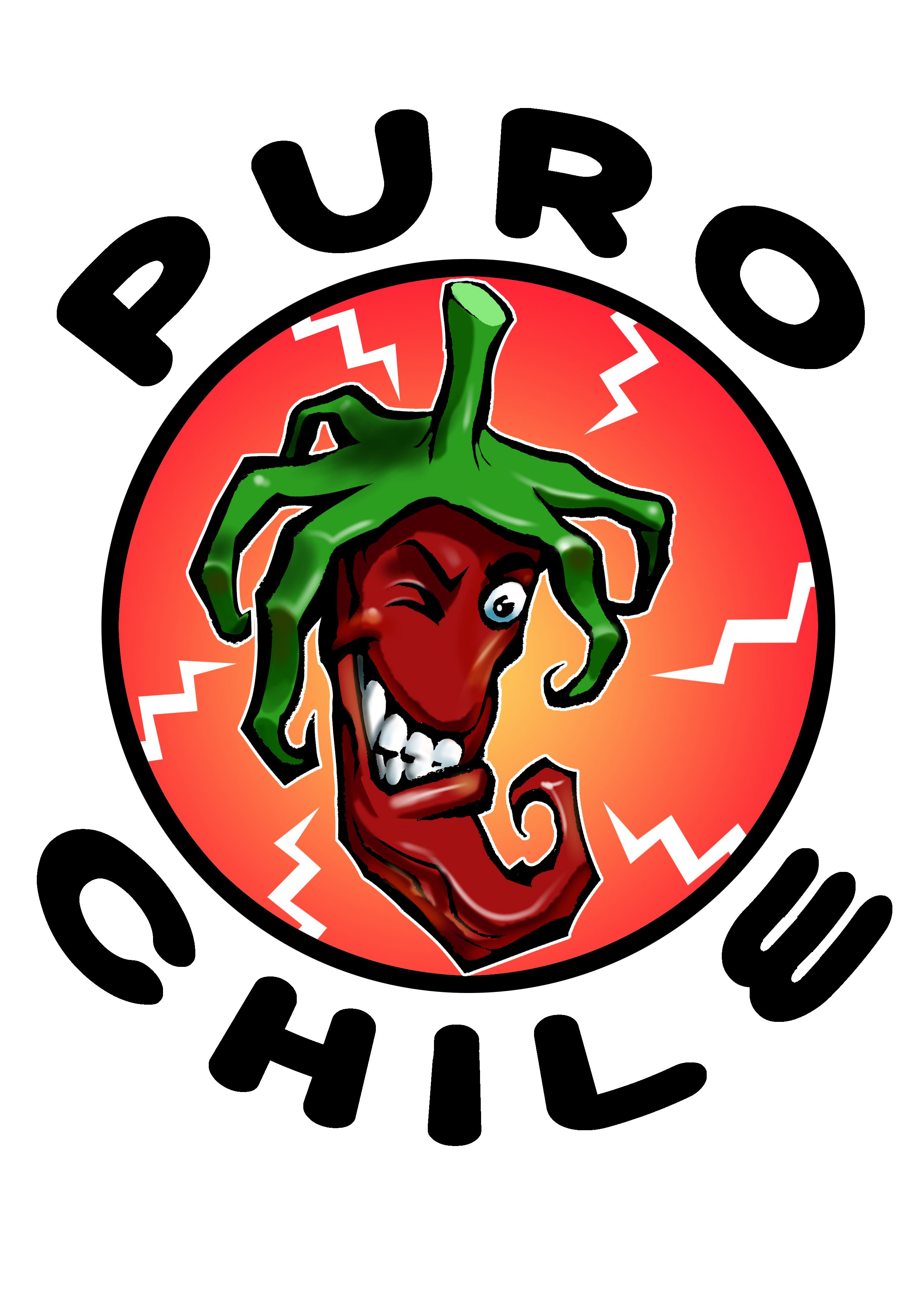Fotografía promocional de Puro Chile