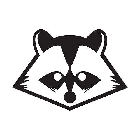 Fotografía promocional de Racoon