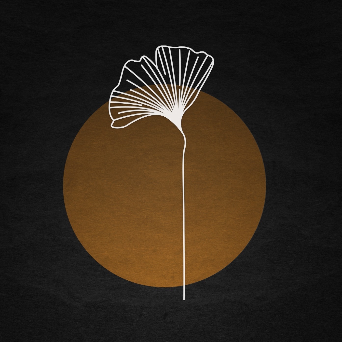 Fotografía promocional de Redolent